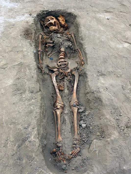Gambar tak bertanggal memperlihatkan tulang belulang anak-anak yang ditemukan para arkeolog di Pampa La Cruz, sebuah kota pesisir Trujillo, Peru. Ditemukan sekitar 227 kerangka anak yang diduga menjadi korban ritual peradaban masa lampau tepatnya pada masa peradaban Chimu. (LUIS PUELL/ANDINA/AFP)