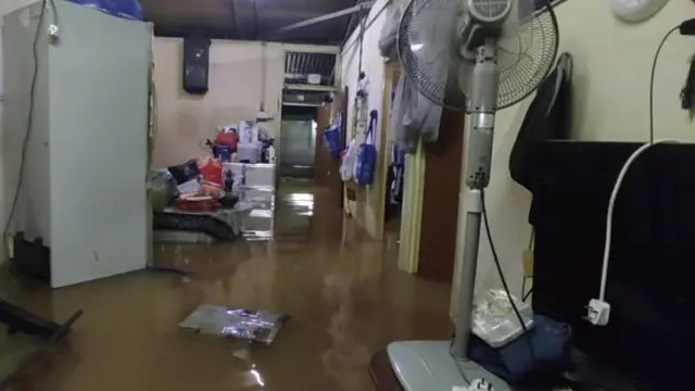 Selamatkan 32 Kucing, Dua Bersaudara Bertahan Saat Diterjang Banjir