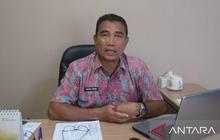 Lesunya Ekonomi Jadi Faktor Utama Pemicu KDRT di Pangkalpinang, DPPAKB Ungkap Data Terbaru