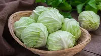 Selain Baik untuk Kesehatan Tulang, Ini 5 Manfaat Kesehatan Lainnya Mengonsumsi  Kubis