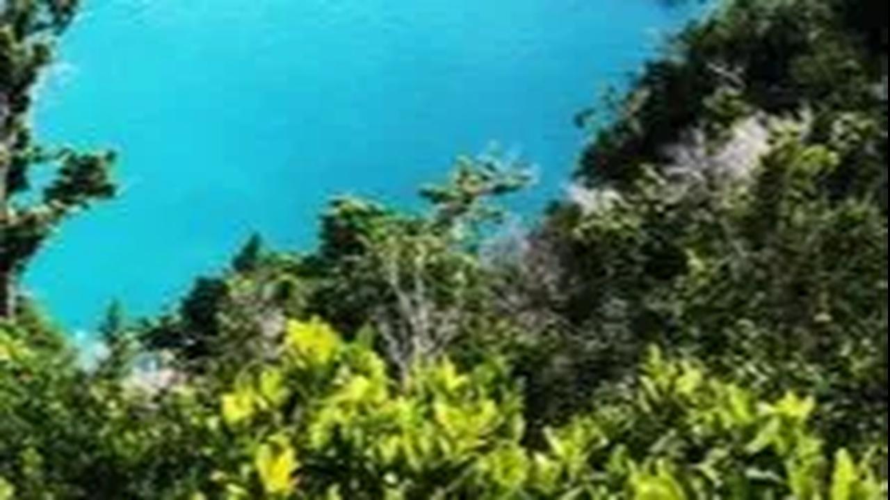 Genjot PDB, Pemerintah Diminta Segera Bentuk Badan Tunggal Penjaga Laut dan Pantai