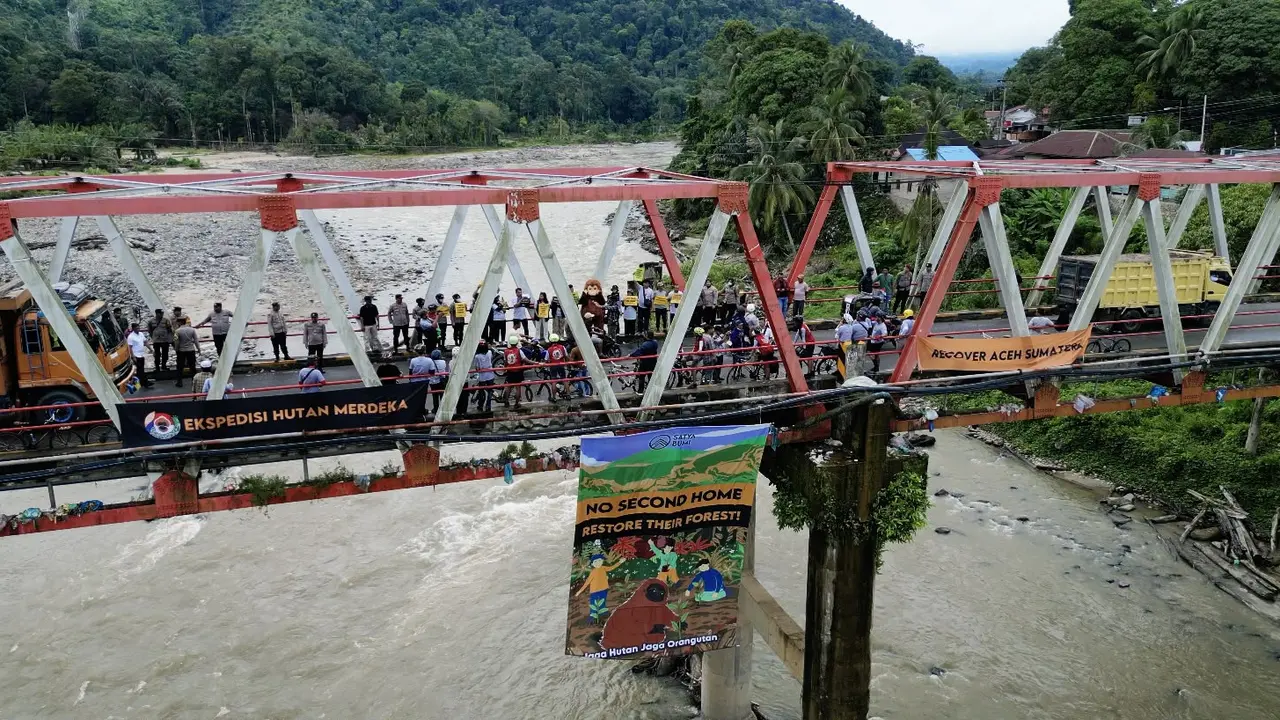 Peringatan keras terkait orang utan dari Batang Toru