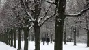 Orang berjalan selama hujan salju di lapangan Istana Charlottenburg di Berlin , Jerman , 17 Januari 2016. Tupai merah biasa ada di taman-taman yang ada di Jerman dan sejumlah negara Eropa lainnya. (REUTERS / (Fabrizio Bensch)