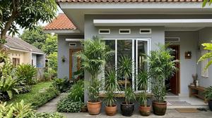 7 Cara Membuat Halaman Lebih Sejuk dengan Penempatan Tanaman, Solusi Praktis Atasi Rumah Gerah