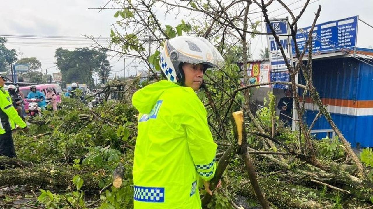 Polres Cianjur Rekayasa Arus Akibat Pohon Tumbang Cianjur, Satu Korban Tewas