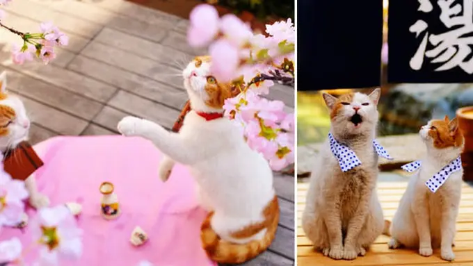 Foto: copyright kotaku.com