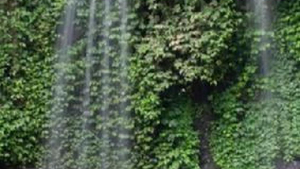Berpetualang Menuju Air Terjun Grenjengan Kembar, Surga Tersembunyi di Lereng Gunung Merbabu