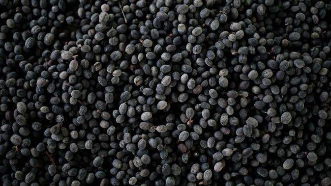 kacang hitam | unsplash.com/@terasproductions