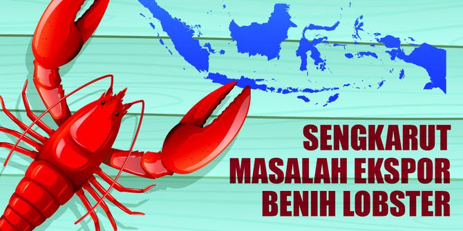 VIDEO: Sengkarut Masalah Ekspor Benih Lobster