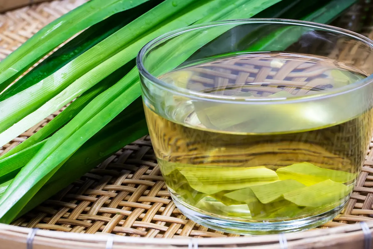 resep daun pandan