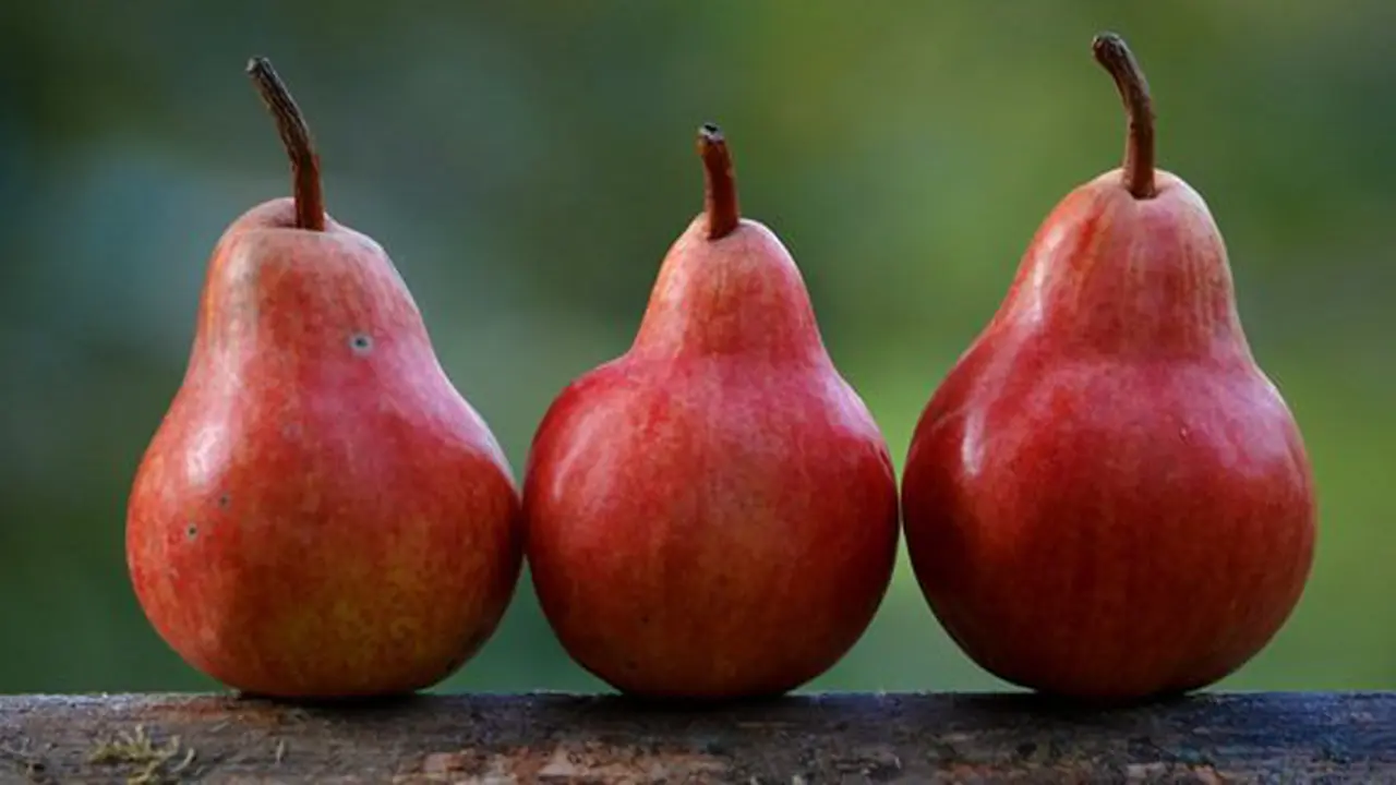 Buah pir/copyright unsplash/Shumilov Ludmila