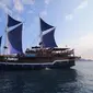 sea safari cruise