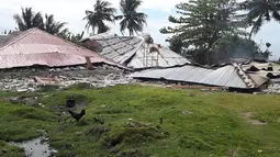 Kawanan ayam berkeliaran di depan rumah-rumah yang rusak akibat gempa di Ambon, Maluku, Jumat (27/9/2019). BNPB menyebut korban meninggal akibat gempa magnitudo 6,5 yang mengguncang Maluku pada Kamis 26 September 2019 sebanyak 23 orang. (HO/BADAN NASIONAL PENANGGULANGAN BENCANA/AFP)