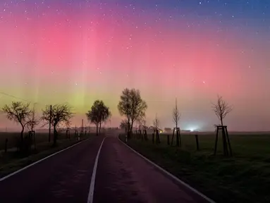 Gambar ini menunjukkan Aurora Borealis pada malam 6 Maret 2016 di Lietzen, dekat Brandenburg, Jerman bagian timur. Aurora Borealis merupakan fenomena berupa pancaran cahaya yang menyala pada lapisan ionosfer. (AFP/dpa/Patrick Pleul/Jerman)