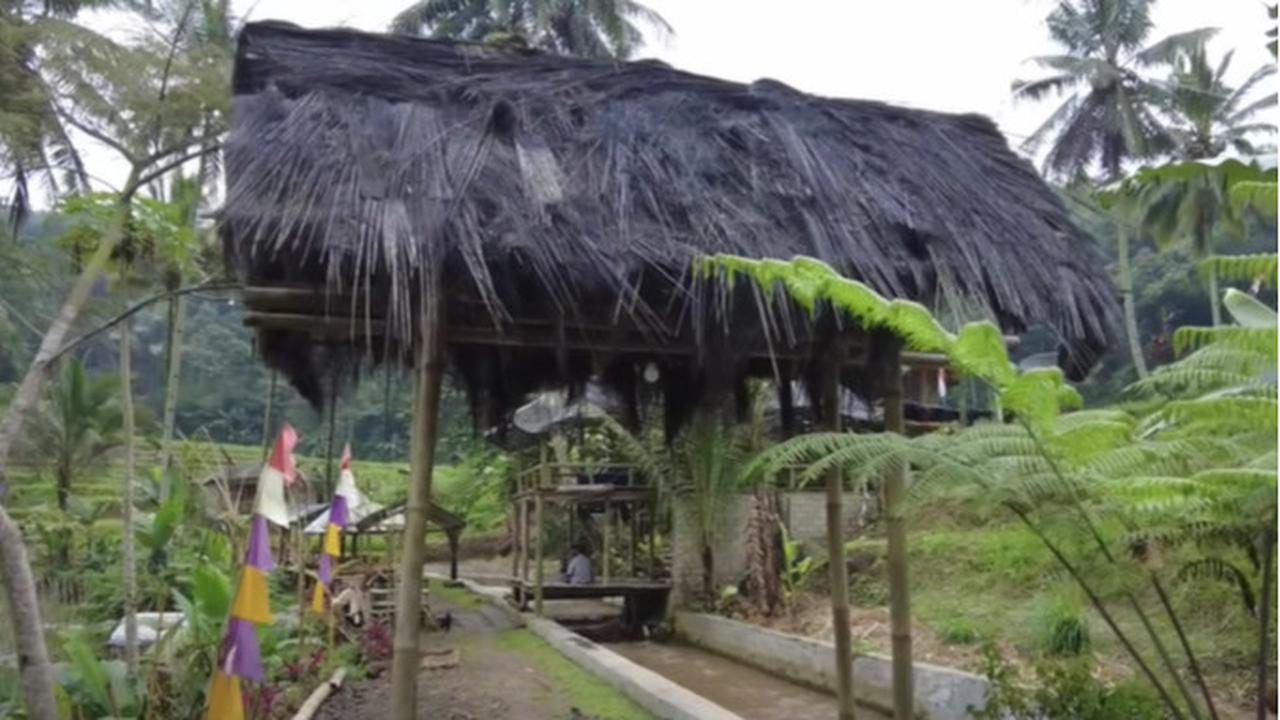 Damai dan Nyaman, Pegawai BUMN Pilih Hidup di Tengan Sawah Sambil Buka Warung Kopi