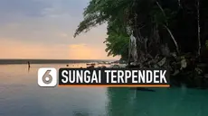 Sungai Tamborasi merupakan sungai terpendek dunia yang terletak di Desa Tamborasi, Kecamatan Wolo, Kabupaten Kolaka, Sulawesi Tenggara.