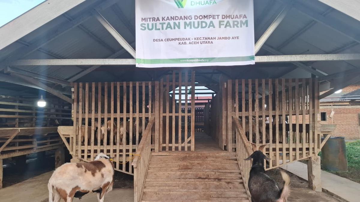 Seleksi Ketat Hewan Kurban untuk Korban Banjir Aceh  #News