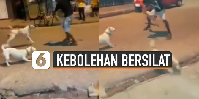 VIDEO: Kocak, Pria Unjuk Kebolehannya Bersilat di Depan Anjing-Anjing