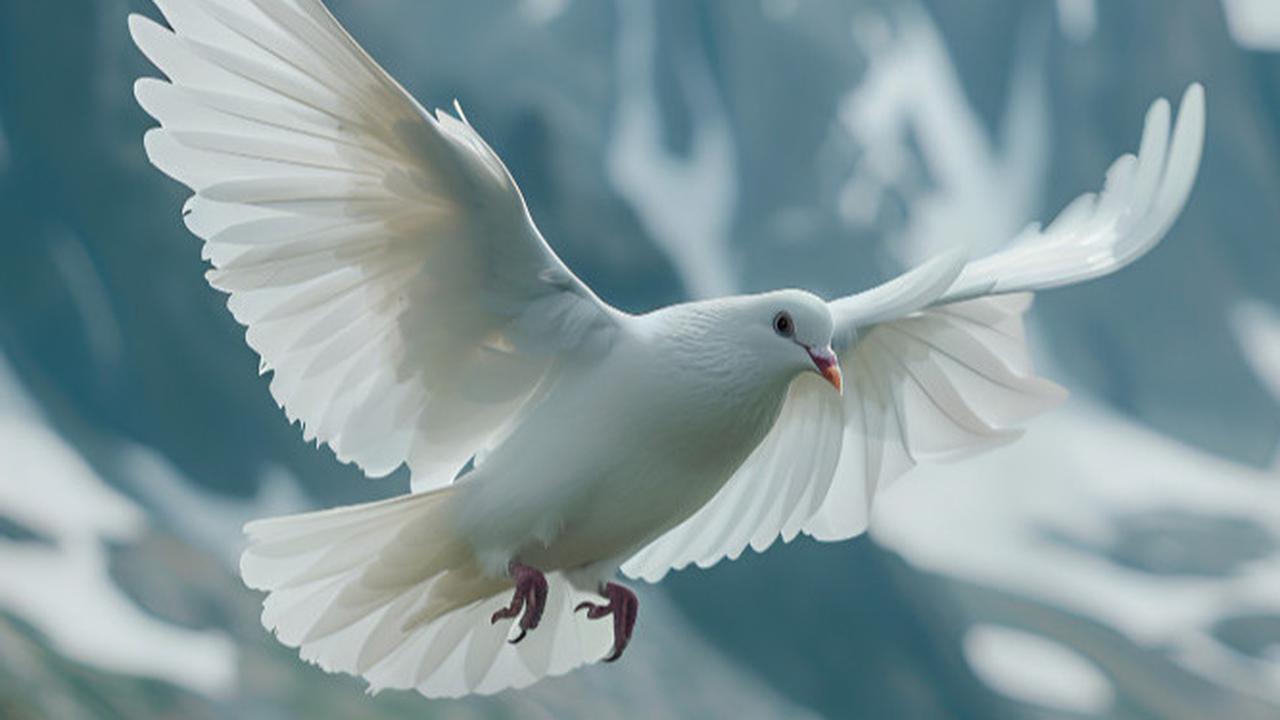 Ilustrasi merpati