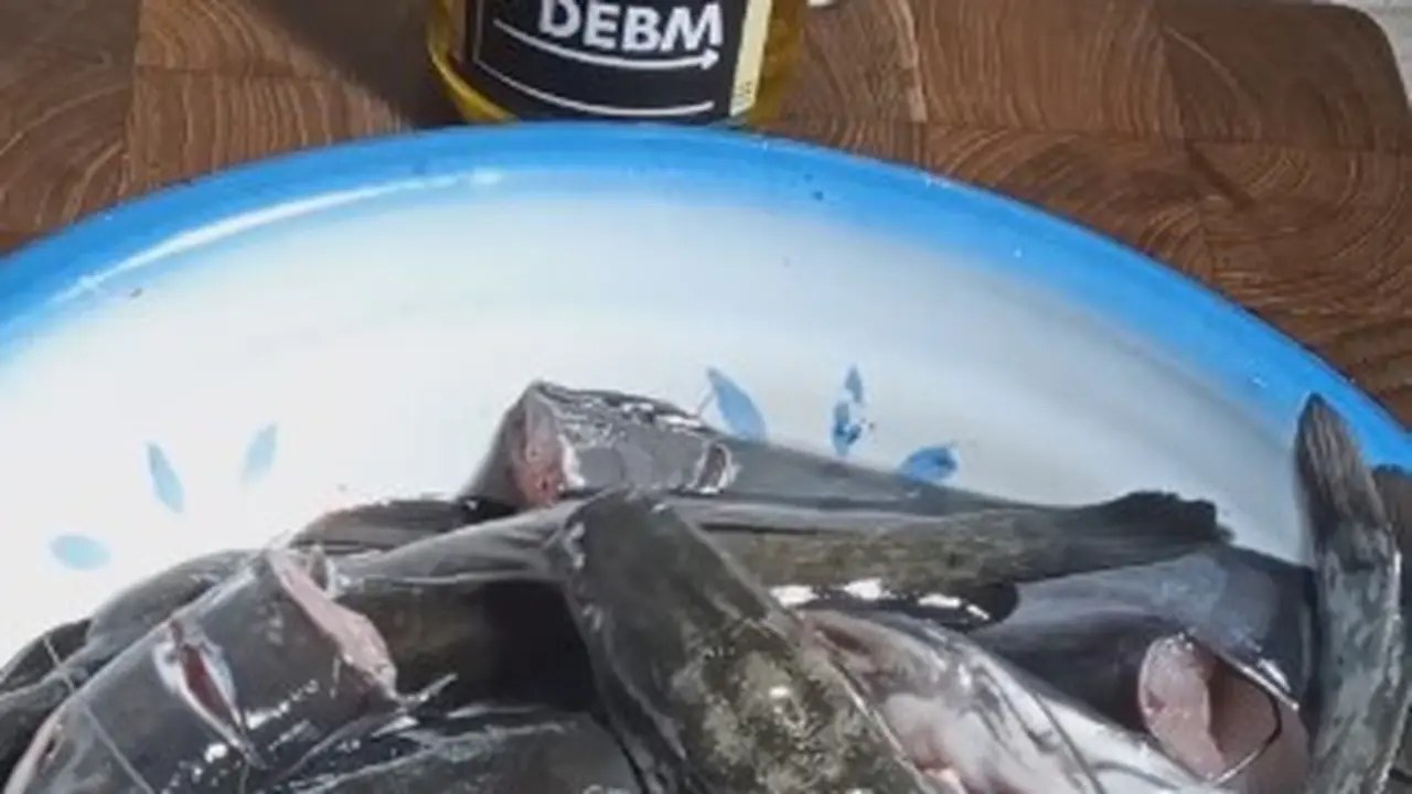 Mengolah Ikan Lele Agar Bebas dari Bau Amis dan Lendir.