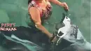Penguasa darat dan laut (Source: IST)