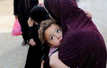 Israel Membakar Anak-Anak & Wanita Palestina di Tenda Pengungsian Gaza Hingga Tewas