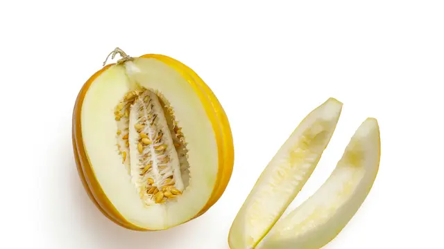 ilustrasi melon/Photo by Mockup Graphics on Unsplash