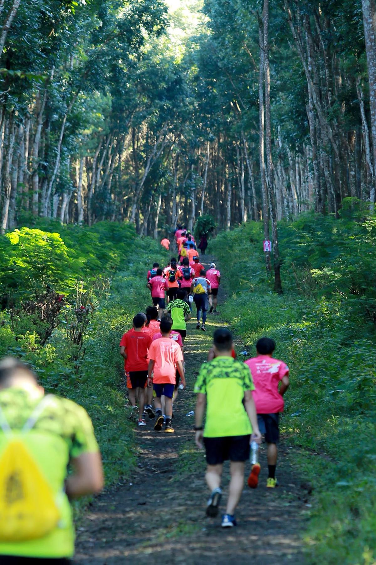 Akhir Pekan di Banyuwangi Dimeriahkan Dua Event Olahraga, 3.400 Pelari Siap Berlomba di Soekarno Run
