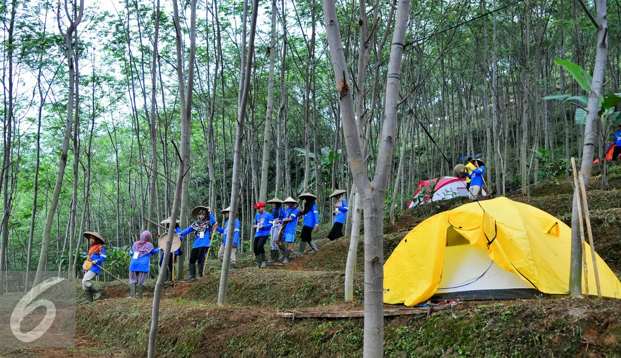 Peserta Campus Citizen Journalist Green Adventure Camp  menjelajahi hutan Sengon milik PT WIKA, Bogor, Selasa (31/5/2016). Liputan6.com gelar Green Camp bersama PT WIKA untuk Citizen Journalist. Liputan6.com/Yoppy Renato)