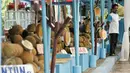 Pedagang durian menunggu pembeli di Lokasi Sementara (Loksem) Pusat Penjualan Durian, Jalan TMP Kalibata, Jakarta Selatan, Kamis (9/2). Pemprov DKI Jakarta bangun Loksem Pusat Penjualan Durian di Kalibata. (Liputan6.com/Yoppy Renato)