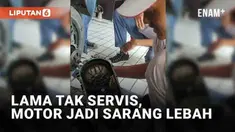 Apa yang anda pikirkan bila motor lama tak terawat?
Tentu akan ada kerusakan mesin dan kotor. Namun yang terjadi pada motor wanita ini di luar dugaan.