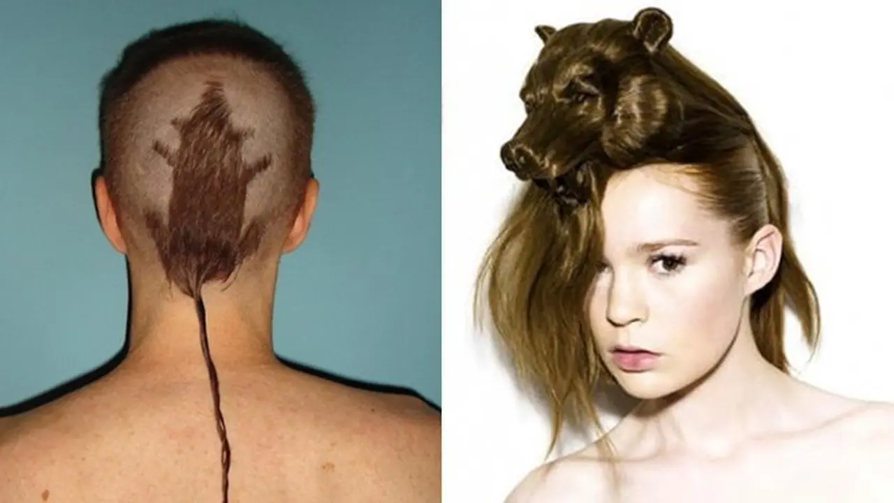 6 Gaya Potongan Rambut Orang Mirip Bentuk Hewan Ini Nyeleneh Banget