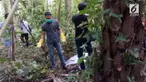 Seorang kakak tega menghamili adiknya sendiri dan membuang bayi hubungan terlarang mereka ke hutan sawit.