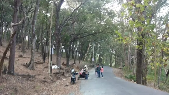 Salam Pagi dari Hutan Lindung Sermo
