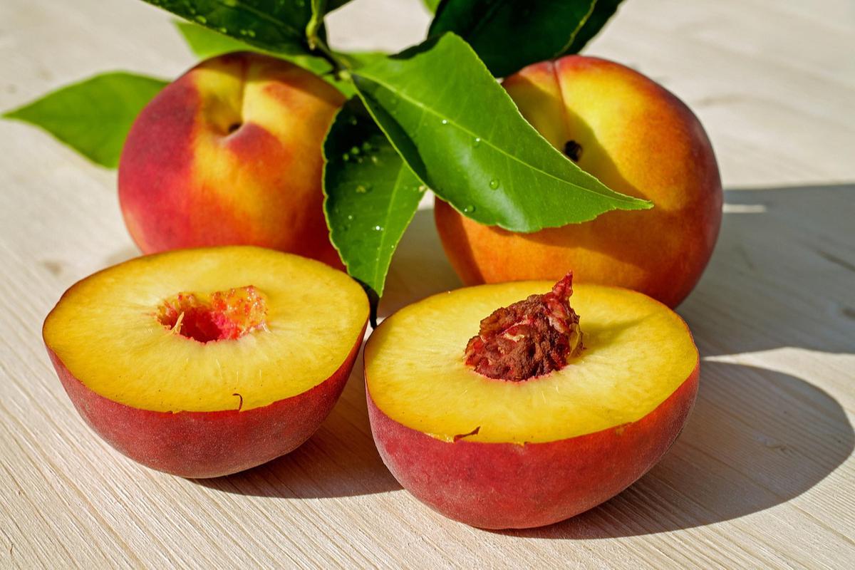 Ilustrasi Buah Peach