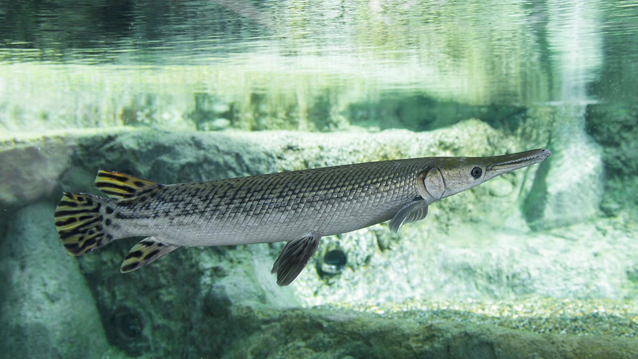 Jelajahi 8 Sungai Terbesar di Dunia dalam Satu Wahana