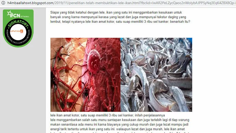 [Cek Fakta] Benarkah Satu Suap Ikan Lele Mengandung 3.000 Sel Kanker?