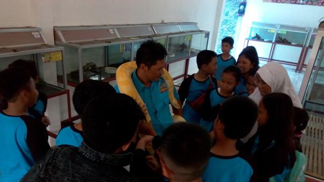 Penjaga taman reptil Sanggaluri Park menguji anggapan publik bahwa ular takut dengan garam di taman reptil Sanggaluri Park Purbalingga, Sabtu (4/1). (Foto: Liputan6.com/Afgani Dirgantara)