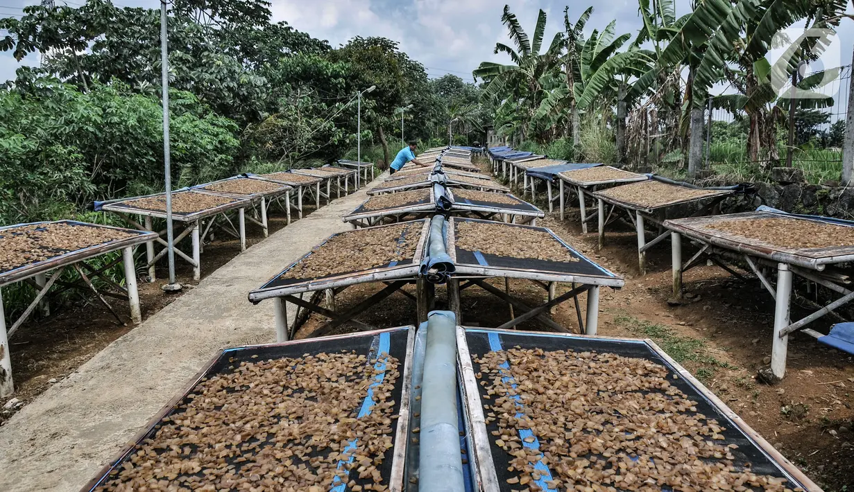 Pekerja menjemur kerupuk kulit di industri rumahan kawasan Bogor, Jawa Barat, Minggu (26/9/2021). Pelaku usaha kerupuk kulit mengaku permintaan kerupuk kulit mengalami penurunan hingga 50 persen akibat Pemberlakuan Pembatasan Kegiatan Masyarakat (PPKM). (merdeka.com/Iqbal S Nugroho)
