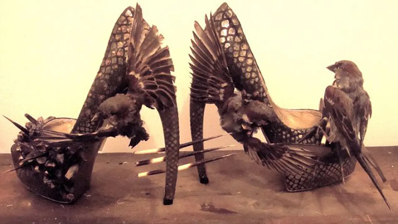 Sepatu High Heels Terbuat dari Burung yang Diawetkan