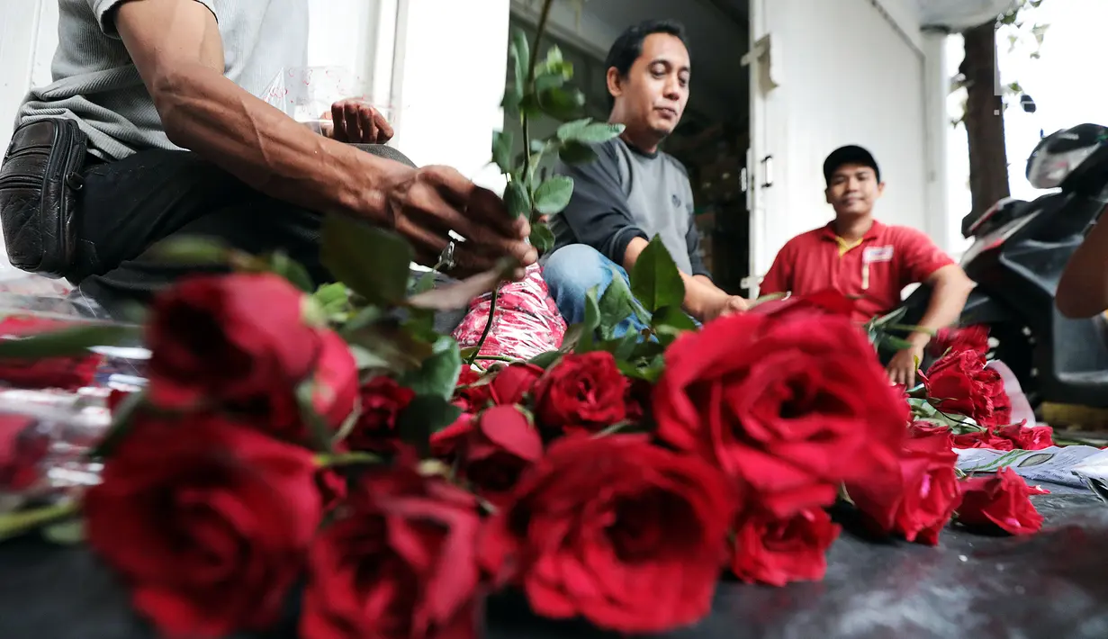 Pedagang menata bunga mawar di Rawa Belong, Jakarta (13/2). Keuntungan dari hari biasa memang didapatkan pedagang karena banyaknya masyarakat membeli bunga mawar khusus dibagikan kepada keluarga atau seseorang yang disayangi. (Liputan6.com/Johan Tallo)