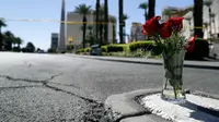 Bunga mawar merah terlihat di lokasi penembakan massal di festival musik di dekat resor dan kasino Mandalay Bay di Las Vegas (2/10). Bunga tersebut untuk korban penembakan Las Vegas yang dilakukan Stephen Paddock 64 tahun. (AP Photo/Marcio Jose Sanchez)