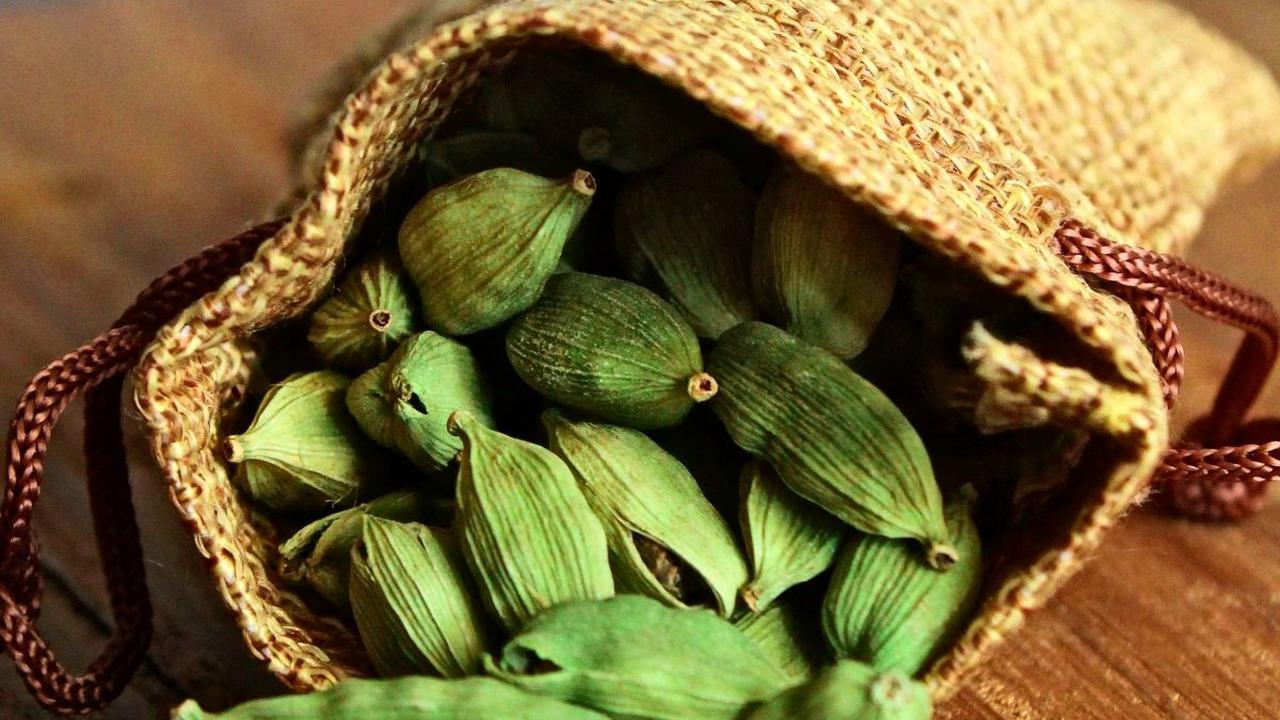 Manfaat Kapulaga dan Cara Pengolahannya, Baik untuk Kesehatan Ginjal