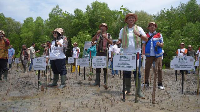 Mitigasi Perubahan Iklim, Pertamina Bersama Kemenkomarves dan KLHK Rehabilitasi Mangrove di NTT