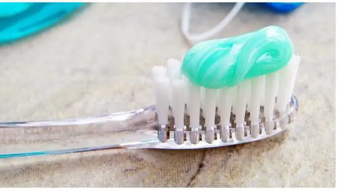 copyright by shutterstock.com