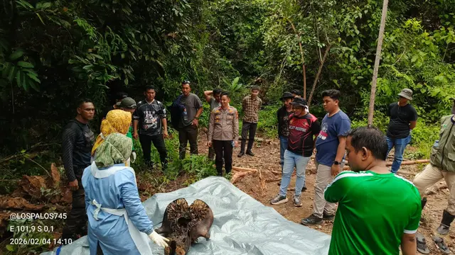 Gajah Tanpa Kepala di Hutan Konsesi Pelalawan Riau Diduga Kuat Korban Perburuan Liar