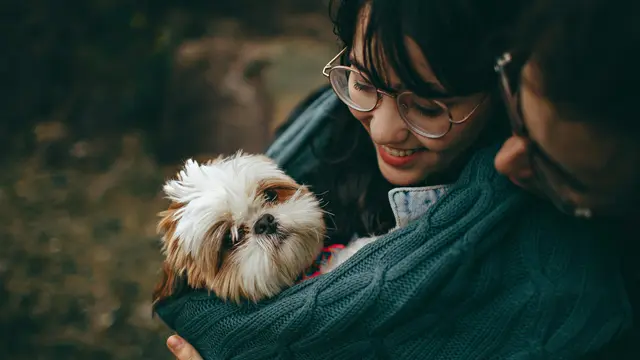 Mitos Atau Fakta Bahwa Cat Person Lebih Cerdas Daripada Dog Person? (photo by pexels.com)