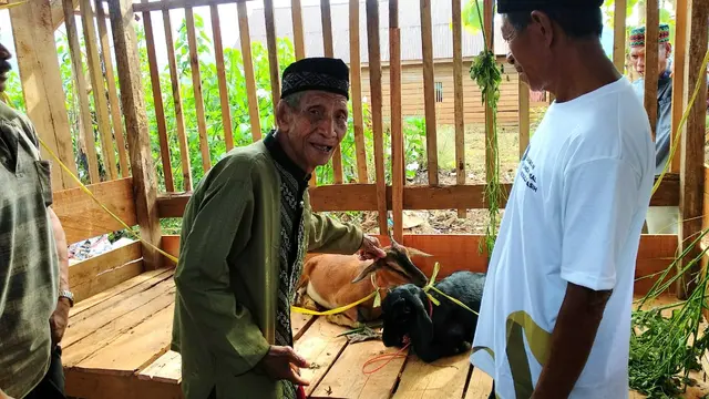 Kakek Tahir di dalam kandang kambing peliharannya.(Liputan6.com/Ahmad Akbar Fua)