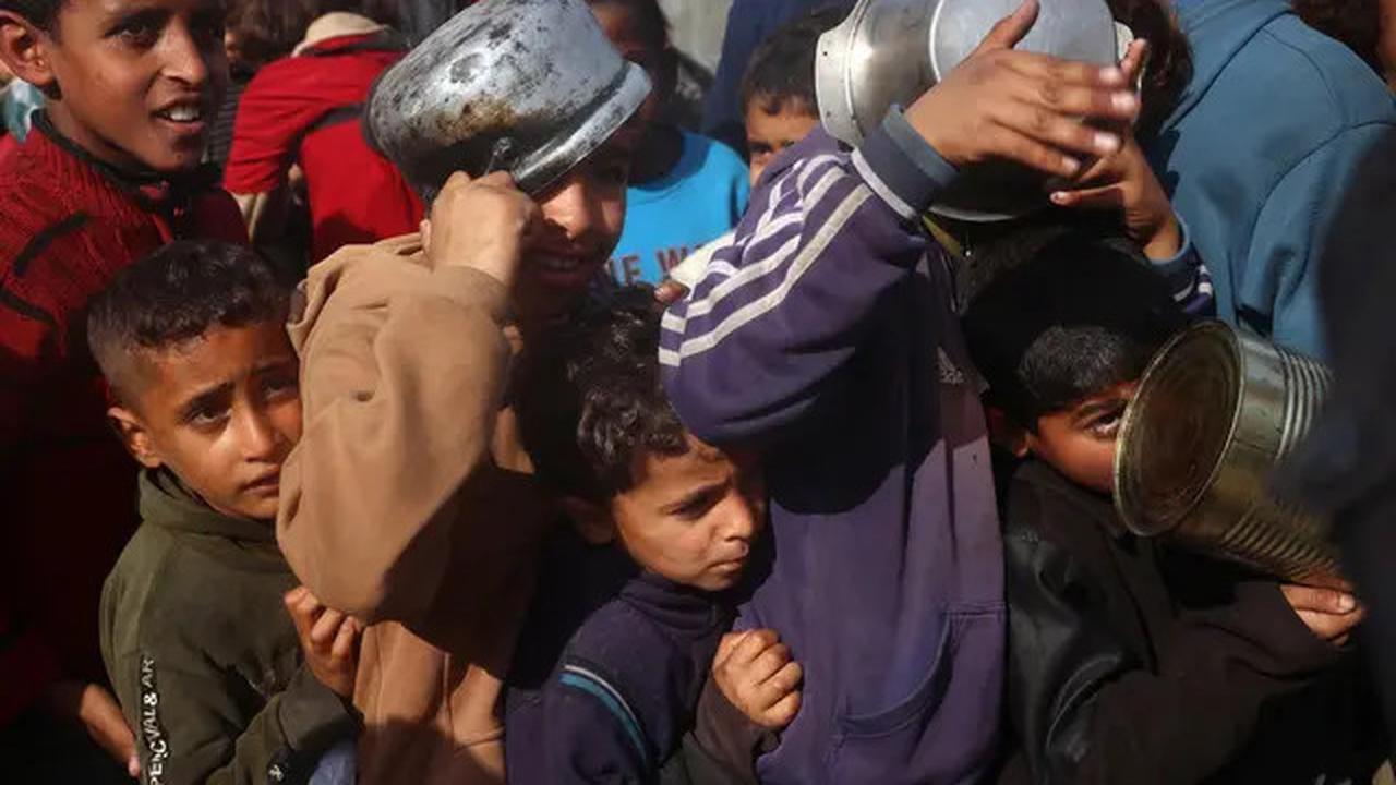 Krisis Pangan, Pengungsi Palestina Rela Berdesakan Demi Dapatkan Makanan