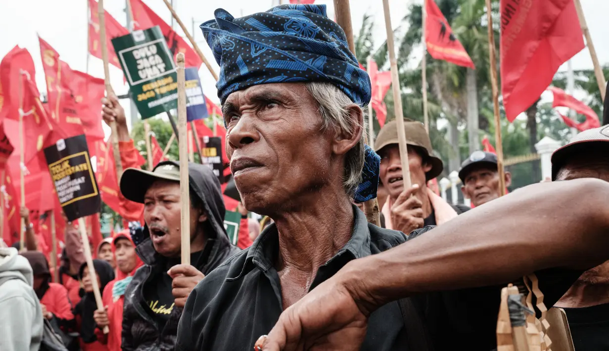 Untuk diketahui, Hari Tani Nasional diperingati setiap 24 September. Ini berdasarkan Keputusan Presiden Nomor 169 Tahun 1963. (Yasuyoshi CHIBA/AFP)
